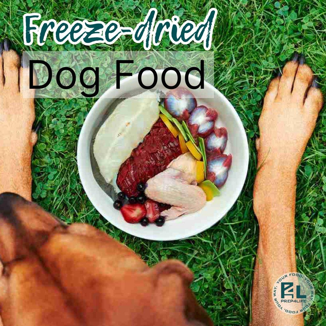 Freeze-Dried Dog Food - Prep4Life