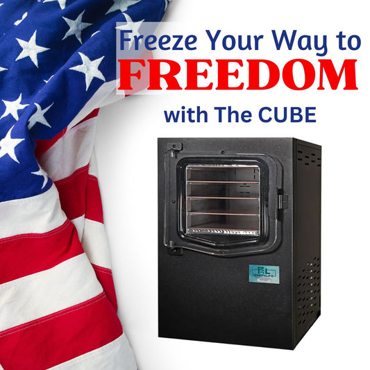 Freeze Your Way to Freedom - Prep4Life