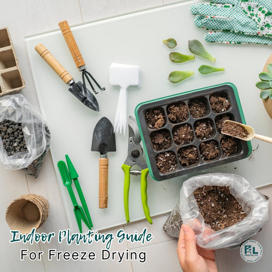 Indoor Planting Guide for Freeze Drying - Prep4Life