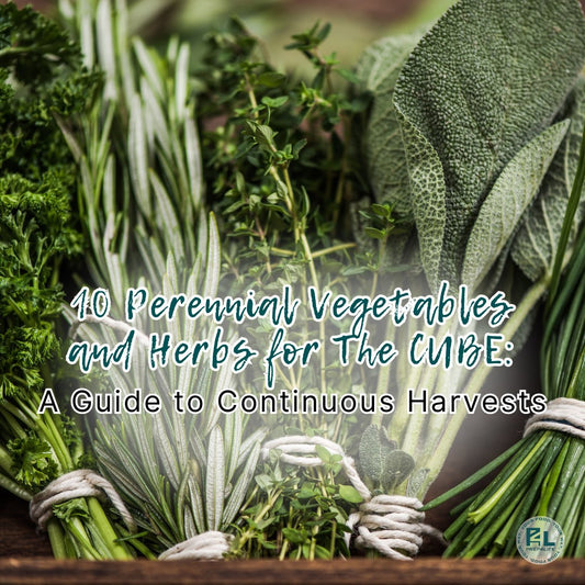 10 Perennial Vegetables and Herbs for The CUBE: A Guide to Continuous Harvests - Prep4Life