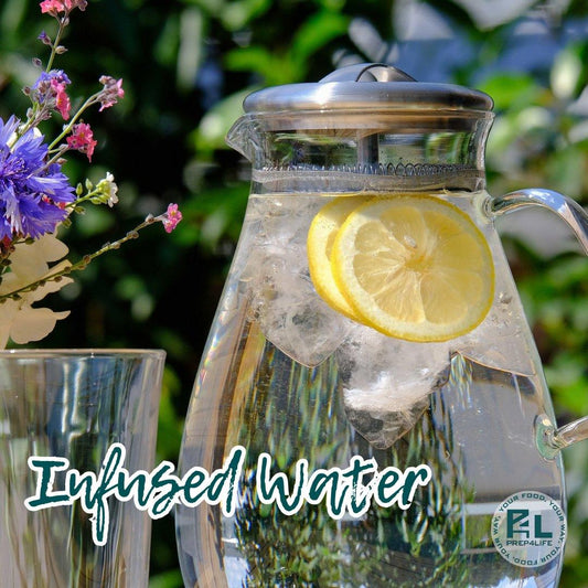 Freeze-Dried Infused Water - Prep4Life