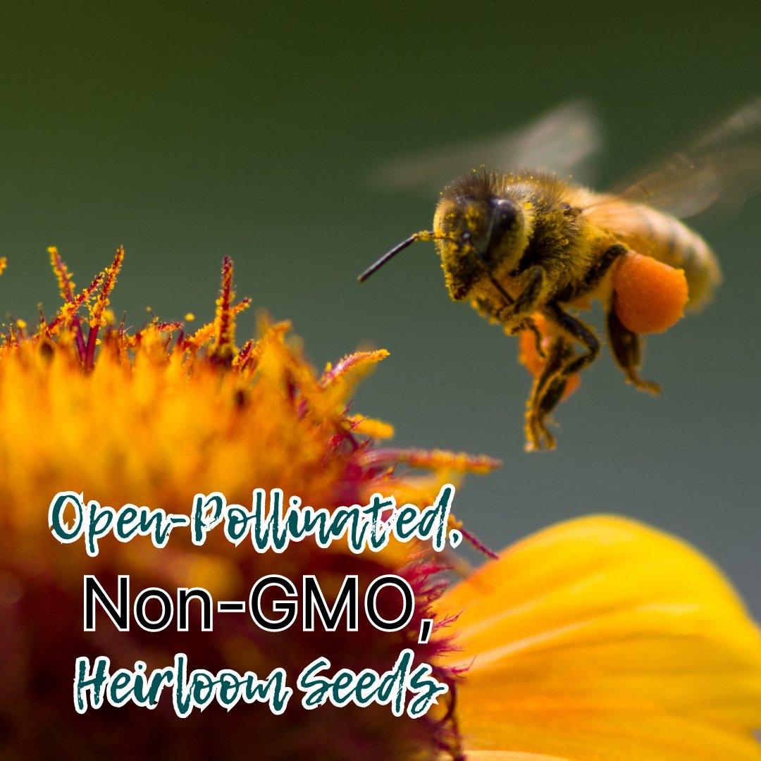Open Pollination Open-Pollinated, Non-GMO, Heirloom Seeds: What does it all mean? | The ...